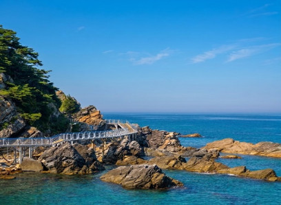 [수도권,대전출발]강릉 안목해변&정동진 바다부채길(당일)