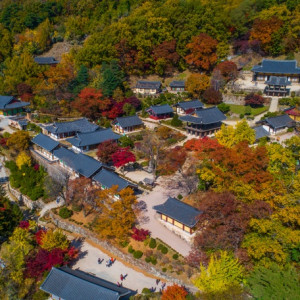 V-train백두대간협곡열차&부석사&예끼마을 1박2일