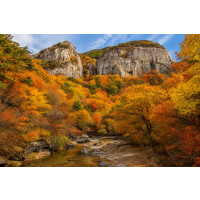★가을단풍★주왕산&주산지(당일)