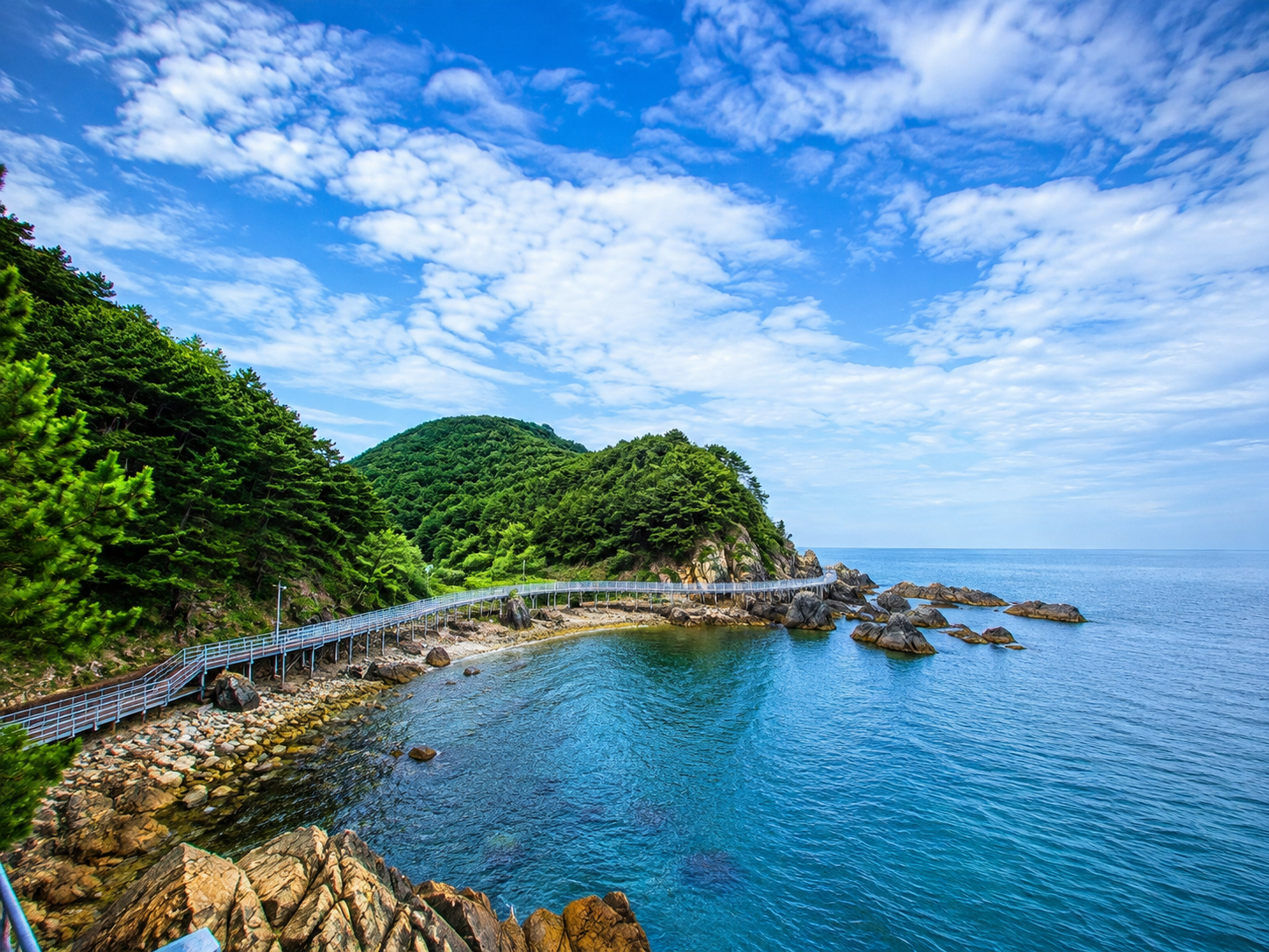 정동진 바다부채길