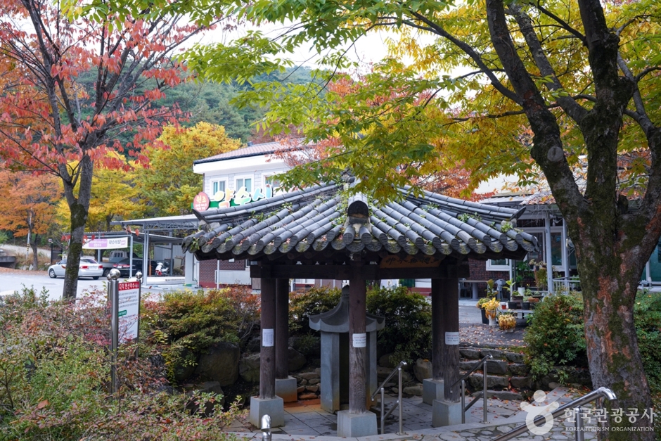 봉화 다덕약수