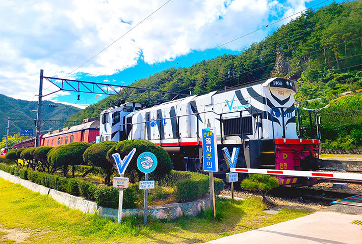 V-train 백두대간협곡열차