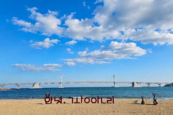 광안리 해수욕장 차창관광