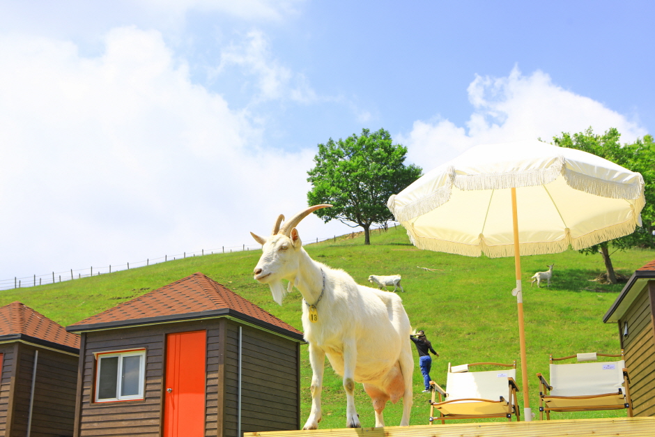 몽토랑 산양목장