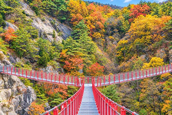 우두산 출렁다리