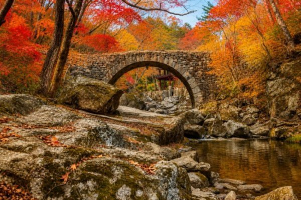 선암사