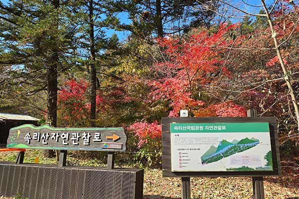 법주사 세조길 트레킹