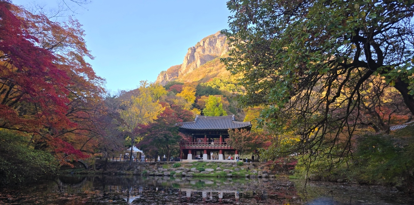 백양사