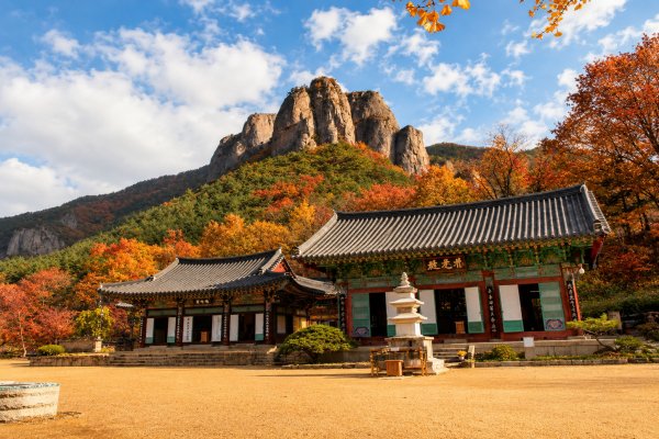 주왕산 단풍놀이&자유중식